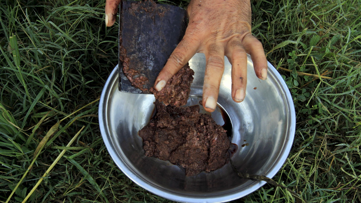 How Pakistan is taking over from Afghanistan as the world’s opium capital How Pakistan is taking over from Afghanistan as the world’s opium capital