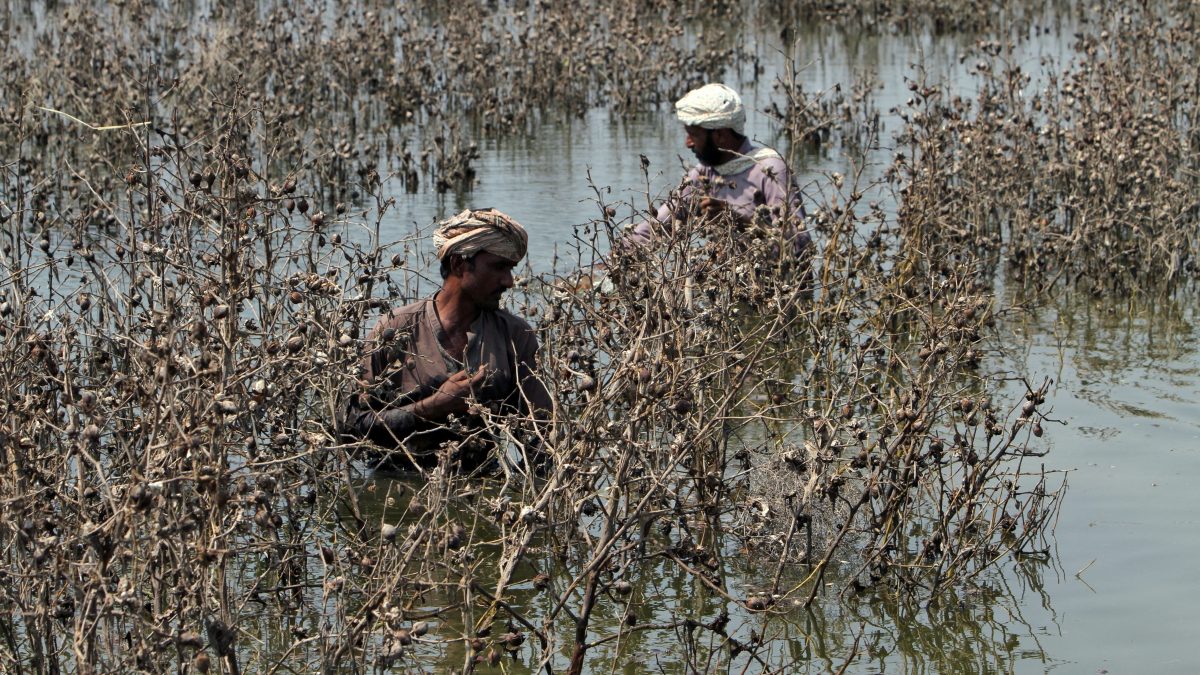 Floods ravages Pakistan, IMF to review impact on economic bailout conditions
