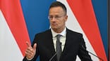 'Nice to dream': Hungary says can't stop buying oil from Russia despite Trump pressure