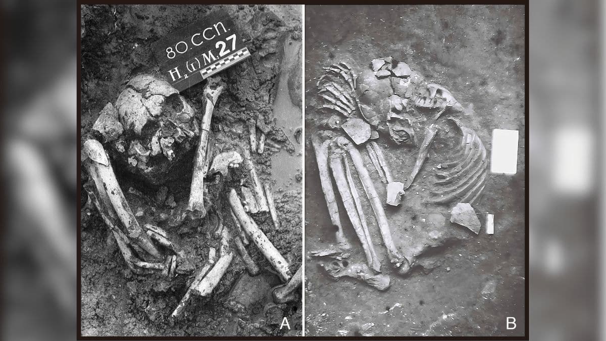 Examples of Early and Middle Holocene flexed burials from northern Vietnam. (A) Burial 80M27 from the Con Co Ngua shell midden; (B) Burial M16 from Mai Da Dieu Cave, both located in Thanh Hoa Province. Image/PNAS