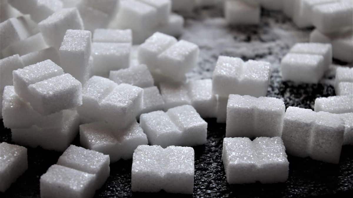 What 14 days of no sugar does to your body