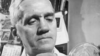 A close up portrait of Professor Alexander Fleming at work in his laboratory at St Mary's Hospital, London. Wikimedia Commons