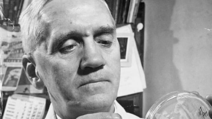 History Today: How Alexander Fleming discovered Penicillin