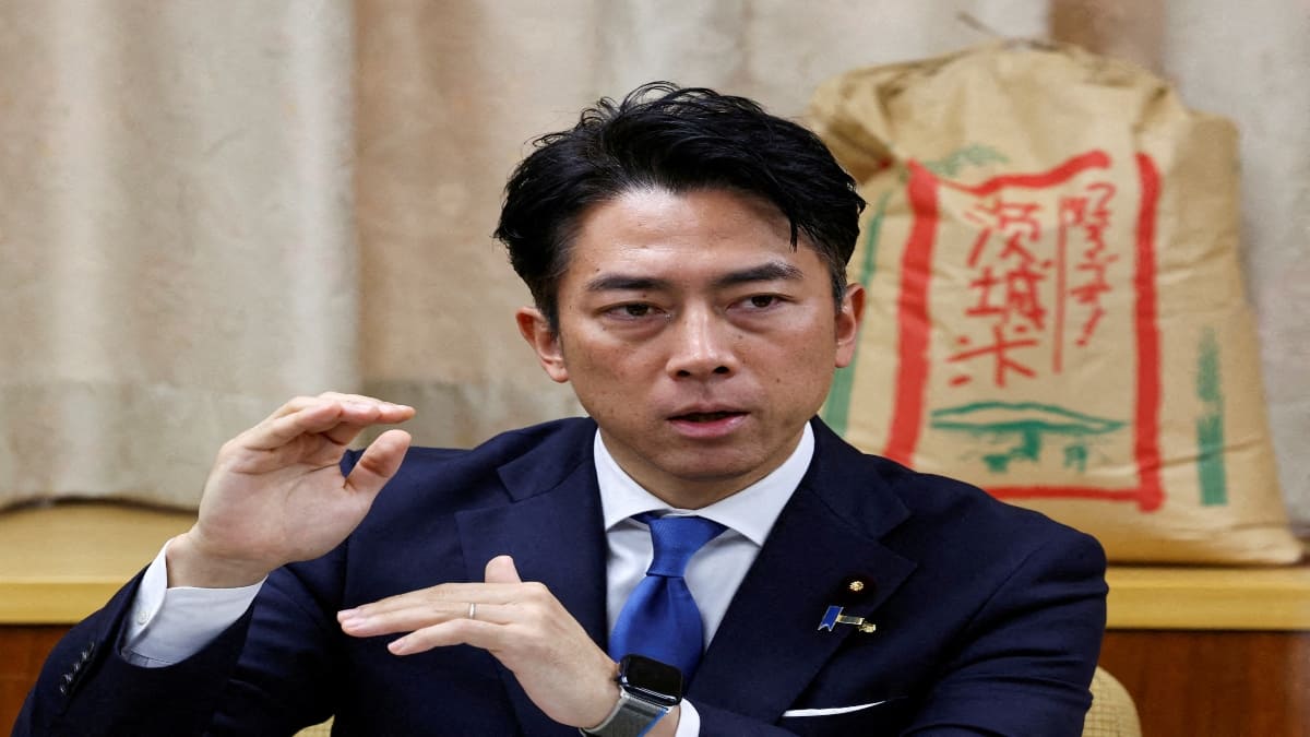 Shinjiro Koizumi joins Japan PM race: Can he count on rice price curbs as he faces top Ishiba aide?