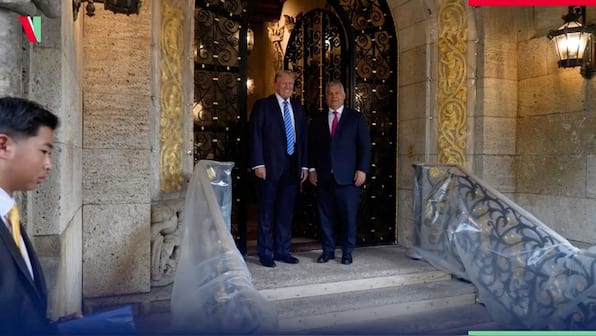 After US, Hungary declares Antifa as a terrorist organisation as Orban follows Trump's footsteps