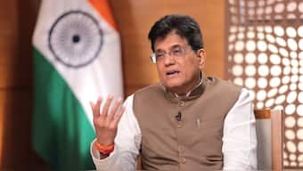 Exports impacted by one nation's actions not big enough to hurt Indian GDP story: Piyush Goyal