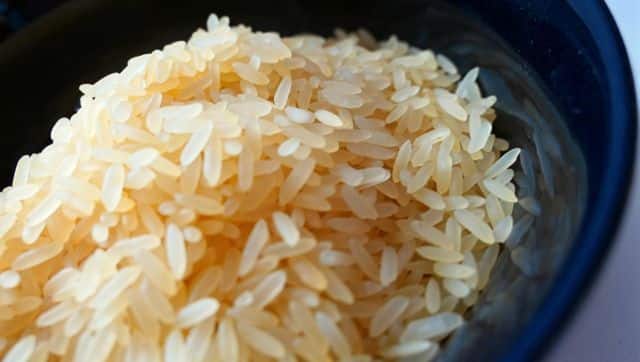 Initially people might feel light-headed and dizzy after leaving rice and roti. Pixabay