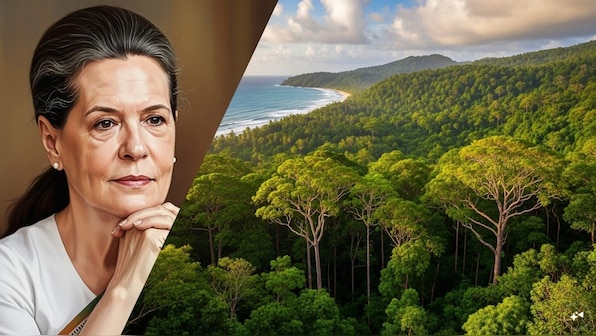 Head-on | Why Sonia Gandhi misses the point on Great Nicobar Project