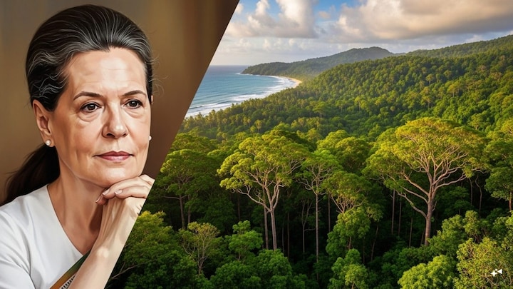 Head-on | Why Sonia Gandhi misses the point on Great Nicobar Project