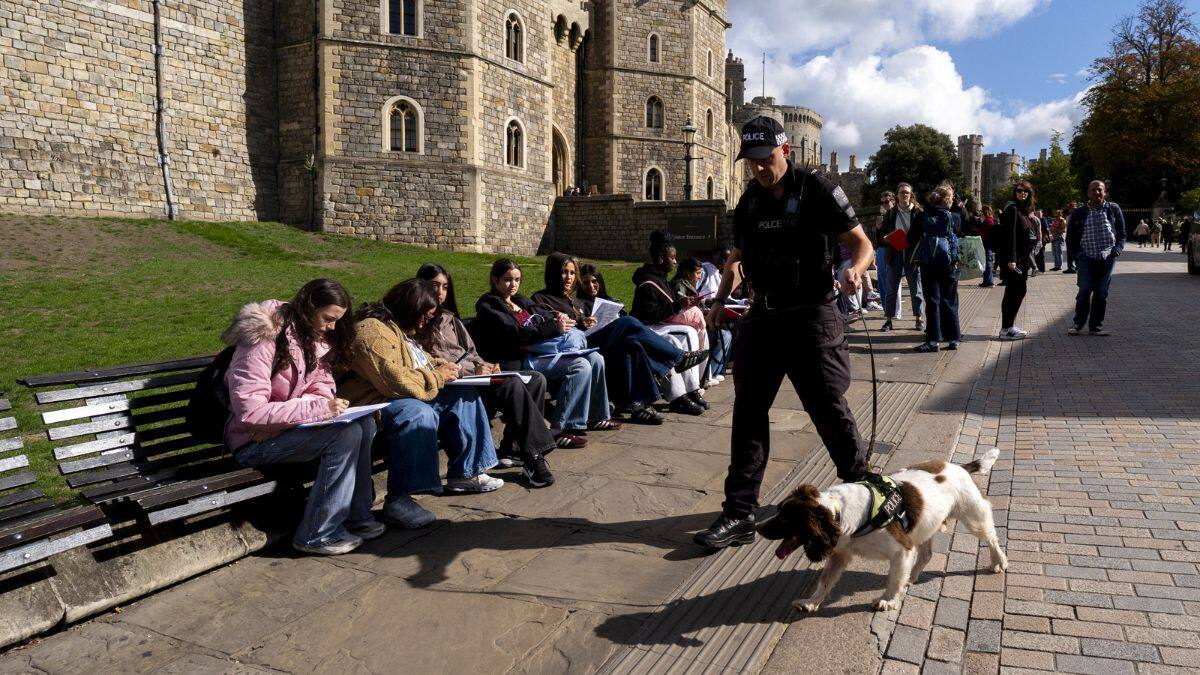 A Thames Valley Police officer from their Specialist Search Unit, accompanied by police dog Jack, carries out security searches in Windsor ahead of the state visit by US President Donald Trump, September 12, 2025. File Image/Pool via Reuters