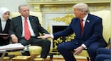 Trump meets Erdogan at White House, urges Turkey to halt Russian oil purchases amid Ukraine war