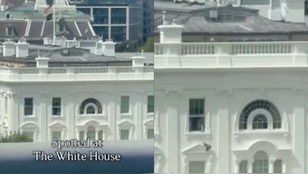 The video showed what looked like a black plastic bag being thrown out of a second-floor window at the White House. Image: Screengrab/X
