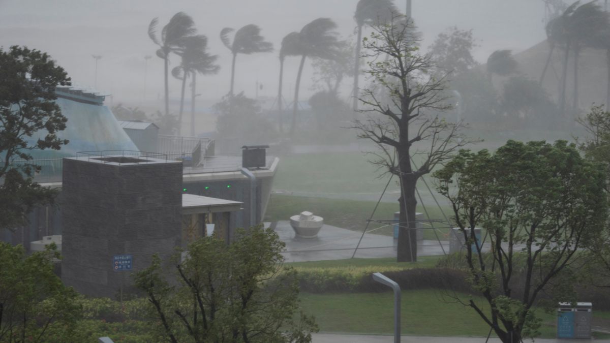 People walk in the rain and strong winds in Shenzhen in southern China's Guangdong province as Typhoon Ragasa moves near the area. AP
People walk in the rain and strong winds in Shenzhen in southern China's Guangdong province as Typhoon Ragasa moves near the area. AP