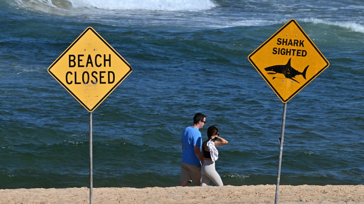 Visitors walk along the shoreline as northern Sydney beaches remain closed following a suspected shark attack at Long Reef Beach on September 6, 2025. AFP Visitors walk along the shoreline as northern Sydney beaches remain closed following a suspected shark attack at Long Reef Beach on September 6, 2025. AFP