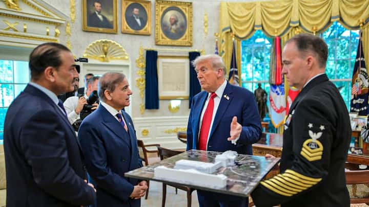 Kashmir, economics or... What did Donald Trump discuss with Pakistan’s Sharif and Munir at White House?