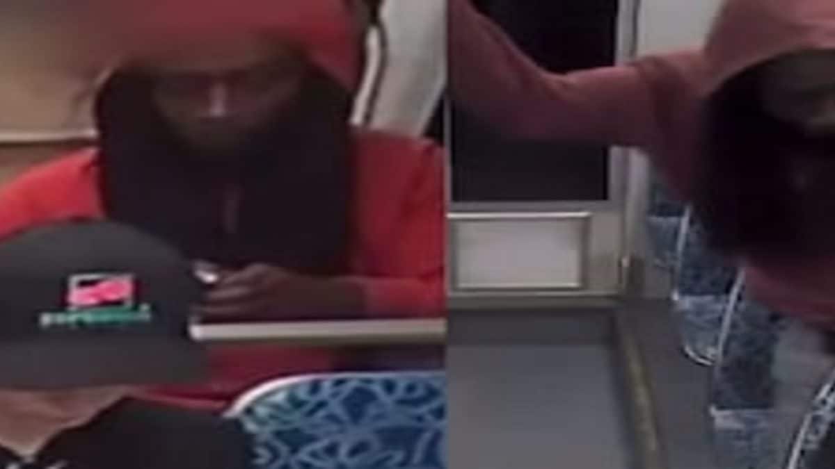 <div>Ukrainian refugee stabbed to death in 'random attack' on US train, Chilling video emerges</div>