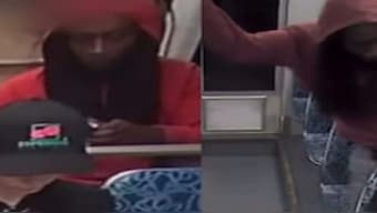 Ukrainian refugee stabbed to death in 'random attack' on US train, Chilling video emerges