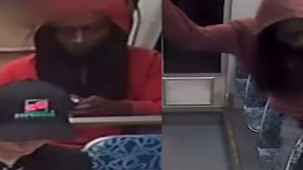 Ukrainian refugee stabbed to death in ‘random attack’ on US train, Chilling video emerges