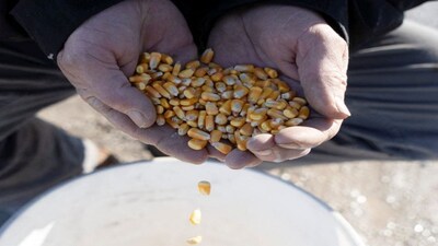 Mega monsoon sets India to record $18 bn fertiliser imports. File image/Reuters