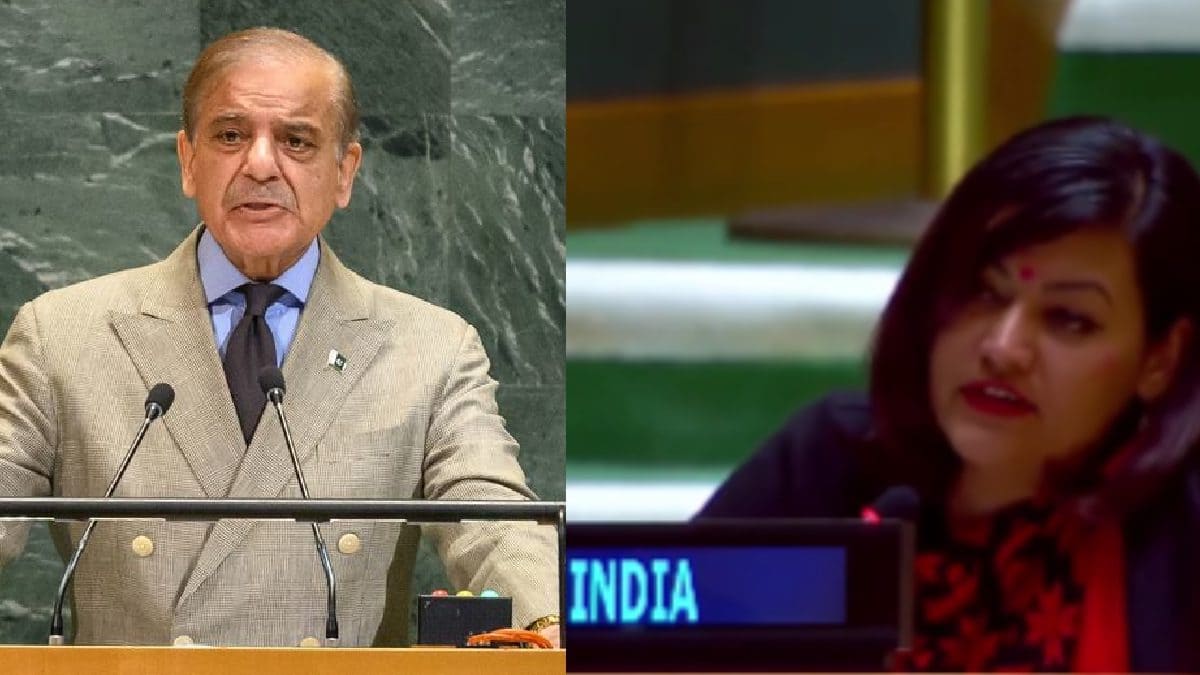 <div>'Glorifying terrorism': India dismantles Pak PM Shehbaz Sharif's 'absurd theatrics' at UNGA</div>