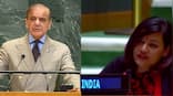 'Glorifying terrorism': India dismantles Pak PM Shehbaz Sharif's 'absurd theatrics' at UNGA