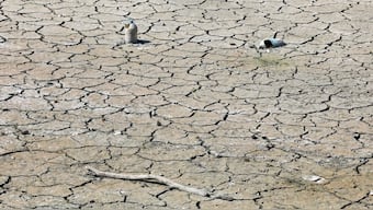 Plastic bottles lie on the parched, cracked earth, in the dried basin of Turkmenli Dam, where water once submerged the landscape, in Marmara Ereglisi, in the northwestern Tekirdag province, Turkey, August 11, 2025. File Image/Reuters