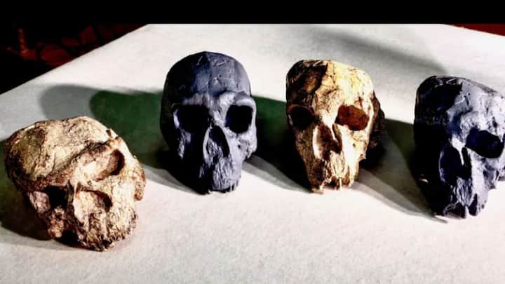 How the discovery of a million-year-old human skull in China can rewrite evolution How the discovery of a million-year-old human skull in China can rewrite evolution