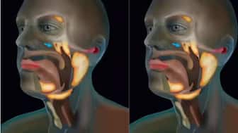 These glands could lower side effects in head and neck radiation patients. Image courtesy Instagram