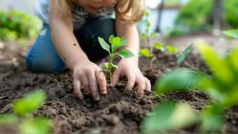 Research suggests 20-30 minutes (of gardening) a few times a week can reduce stress and lift mood, with benefits increasing the more regularly one gardens. Image for Representation. Pixabay