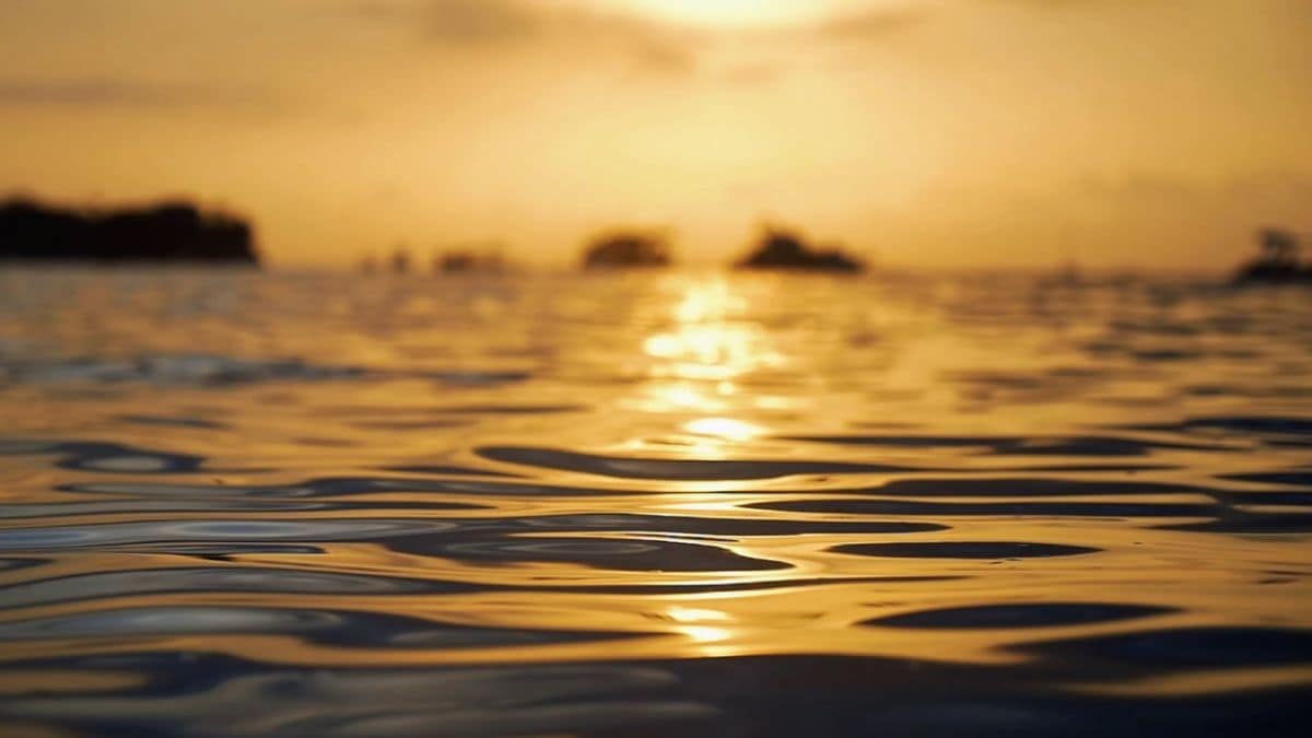 <div>20 million tonnes of gold lie beneath Earth's oceans. Can it be mined?</div>