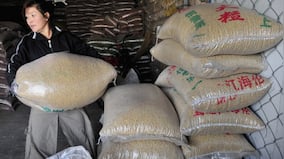 Argentina wins US-China trade war with a $20 bn bailout and soaring soyabean sale