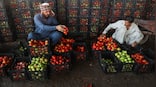 Tomato prices soar 400%: How shutting down of Afghanistan border is hurting Pakistan