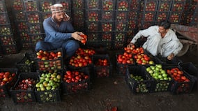 Tomato prices soar 400%: How shutting down of Afghanistan border is hurting Pakistan