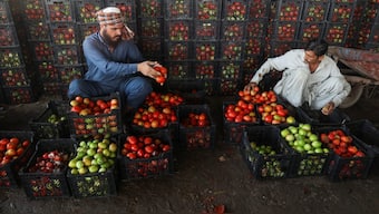 Men sort tomatoes at a wholesale vegetable market, as prices of various vegetables and fruits rose after Pakistan closed border crossings with Afghanistan following exchanges of fire, and a ceasefire deal was later agreed upon by the two nations, in Peshawar, Pakistan. Reuters