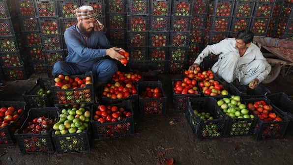 Tomato prices soar 400%: How shutting down of Afghanistan border is hurting Pakistan