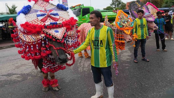 Bovine beauty! Inside Thailand’s pageant for buffaloes