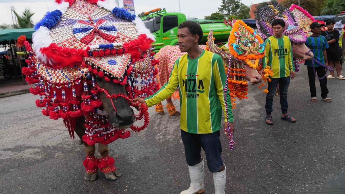 People show off their decorated buffalos during an annual buffalo racing festival in Chonburi. AP People show off their decorated buffalos during an annual buffalo racing festival in Chonburi. AP