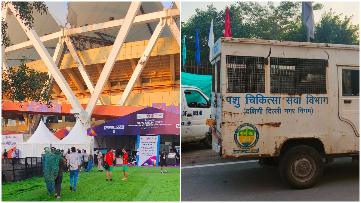 Dog bite scare at Jawaharlal Nehru Stadium in Delhi; Kenyan, Japanese coaches hurt during Para Athletics Worlds Dog bite scare at Jawaharlal Nehru Stadium in Delhi; Kenyan, Japanese coaches hurt during Para Athletics Worlds
