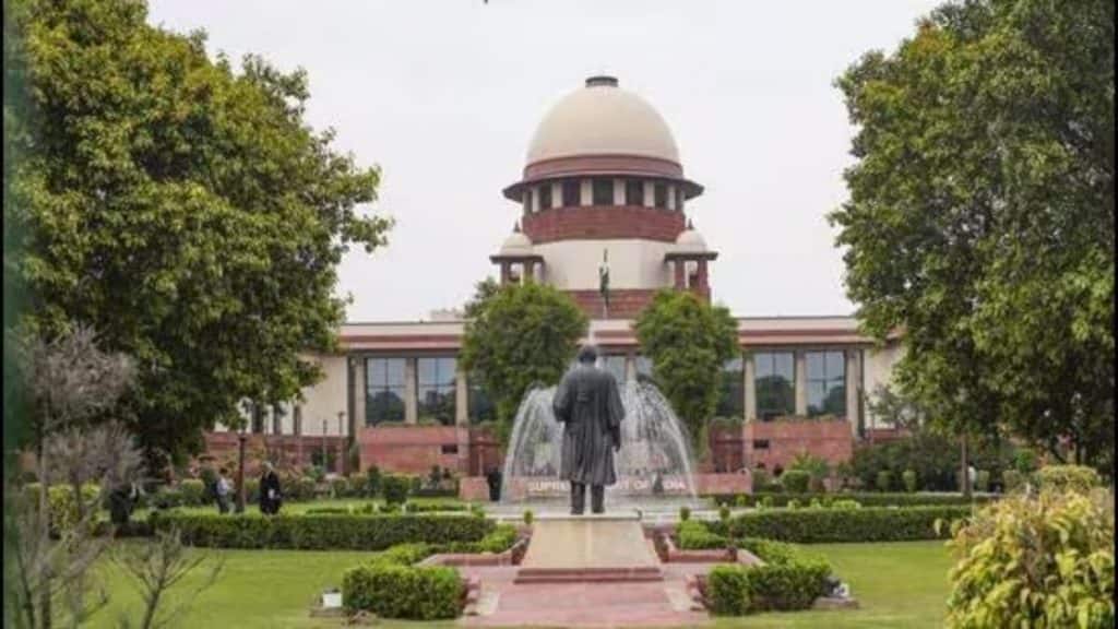 The issue of green crackers will be heard in the Supreme Court today. File image/PTI