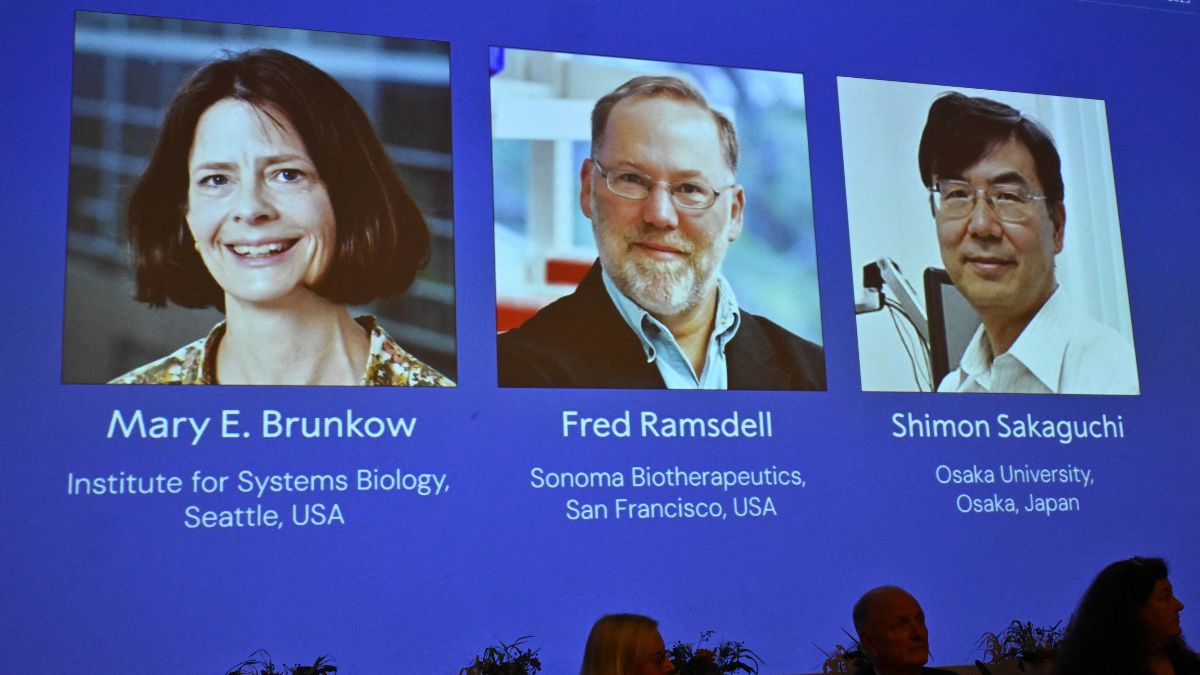 Nobel Prize in Medicine awarded to Mary Brunkow, Fred Ramsdell, Shimon Sakaguchi for immune system research