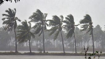 Trees face heavy winds as Cyclone Phethai barrels through coastal Andhra Pradesh near Kakinada in East Godavari, Monday, on December 17, 2018. (Representational Image, Credit: PTI)