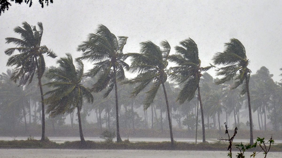 Trees face heavy winds as Cyclone Phethai barrels through coastal Andhra Pradesh near Kakinada in East Godavari, Monday, on December 17, 2018. (Representational Image, Credit: PTI) Trees face heavy winds as Cyclone Phethai barrels through coastal Andhra Pradesh near Kakinada in East Godavari, Monday, on December 17, 2018. (Representational Image, Credit: PTI)