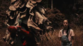 The Red Sea International Film Festival (Red Sea IFF) reveals international shorts for 2025