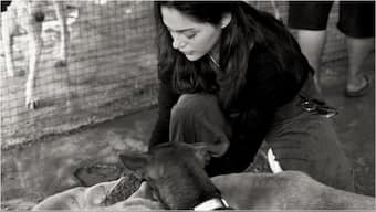 Saiyaara star Aneet Padda spends a day with rescued strays at an animal shelter