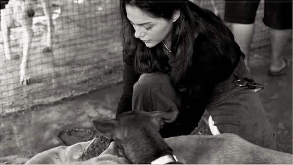 Saiyaara star Aneet Padda spends a day with rescued strays at an animal shelter