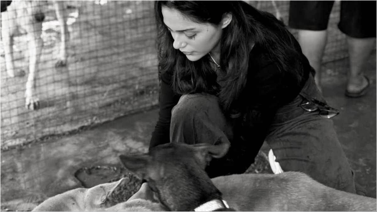 Saiyaara star Aneet Padda spends a day with rescued strays at an animal shelter Saiyaara star Aneet Padda spends a day with rescued strays at an animal shelter