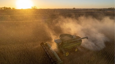 Soybeans are harvested on the Warpup Farm in Warren, Ind., Wednesday, Sept. 17, 2025. (AP Photo)
