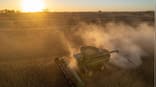 Trade thaw, tempered hopes: China’s soybean pledge offers relief but no full fix for US farmers