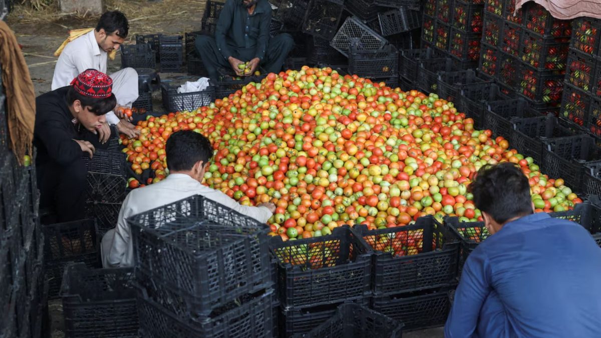 The cost of tomatoes surging by over 400% since the crossing closed on October 11 (Reuters) The cost of tomatoes surging by over 400% since the crossing closed on October 11 (Reuters)