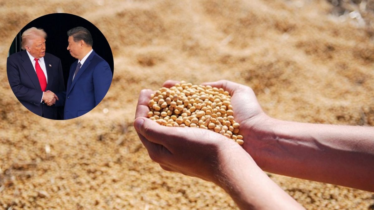 China had agreed to buy "tremendous amounts" of soybeans and other farming products from the US China had agreed to buy "tremendous amounts" of soybeans and other farming products from the US